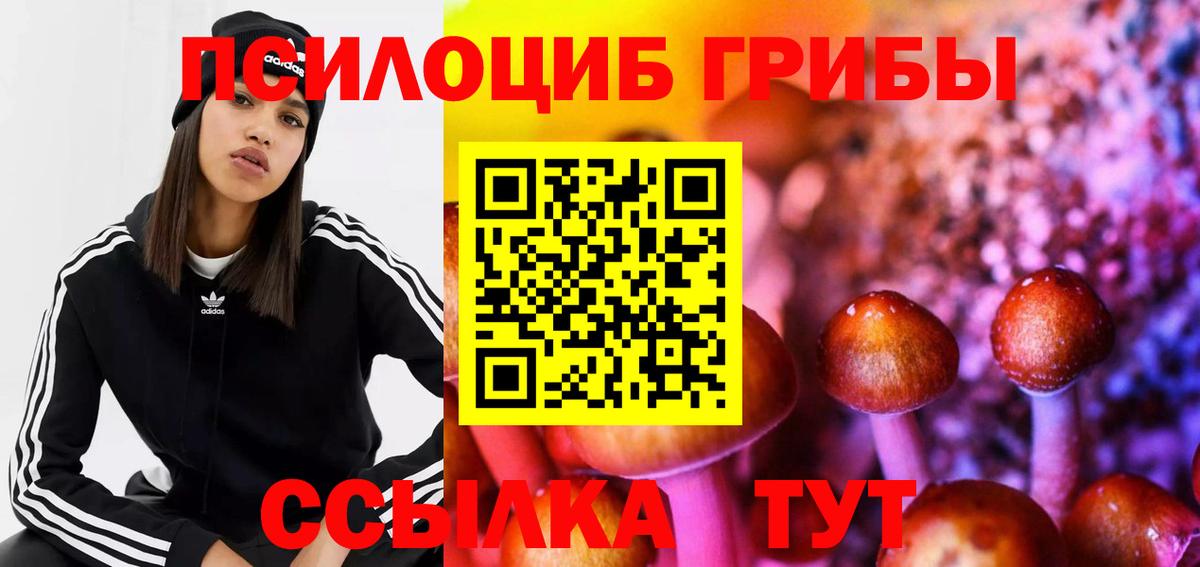 Псилоцибиновые грибы Cubensis  Вход с VPN  Галлюциногенные грибы Cubensis  Чебоксары 