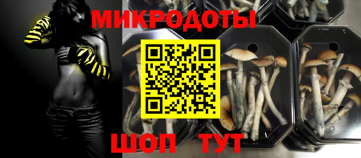 Галлюциногенные грибы Cubensis Чебоксары